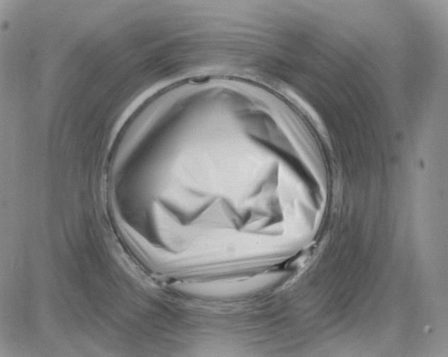 X0000082731340200702232337