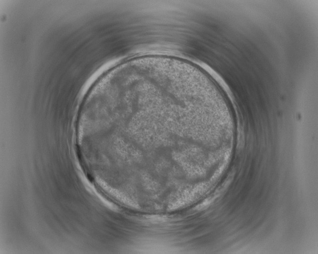 X0000082731341200702232337