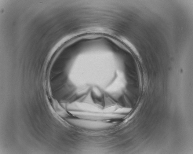 X0000082731342200702232337