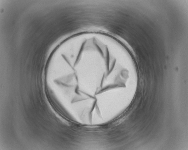 X0000082731343200702232337