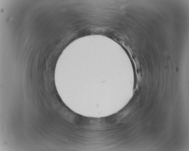 X0000082731345200702232337