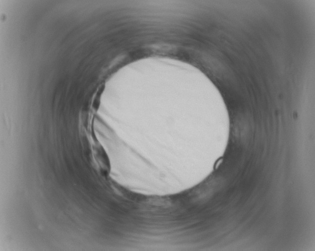 X0000082731346200702232337