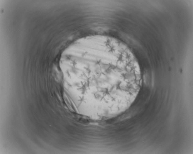 X0000082731347200702232336