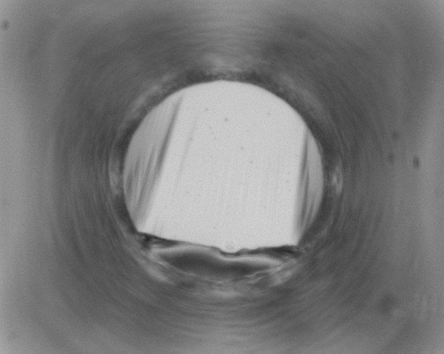 X0000082731348200702232336