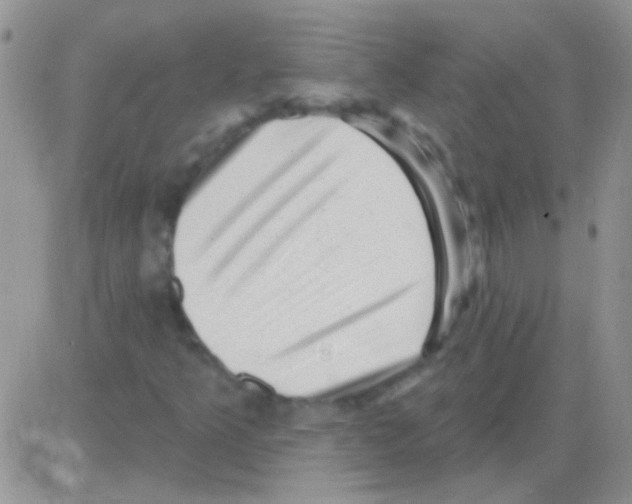 X0000082731349200702232336