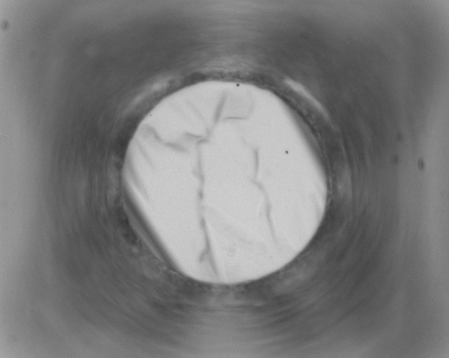 X0000082731350200702232336