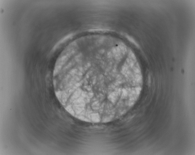 X0000082731351200702232336