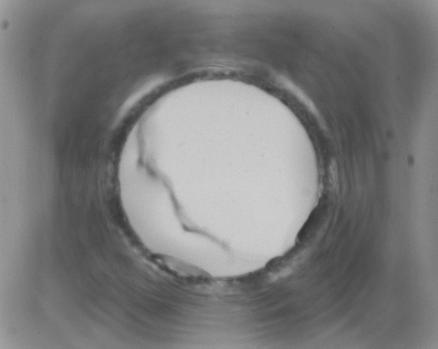 X0000082731352200702232336