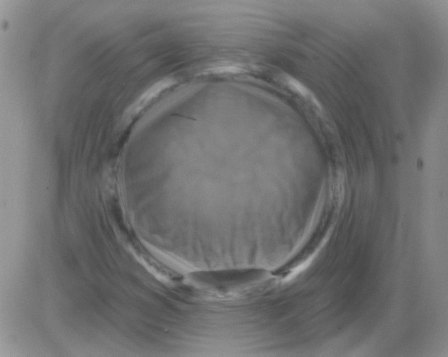 X0000082731353200702232336