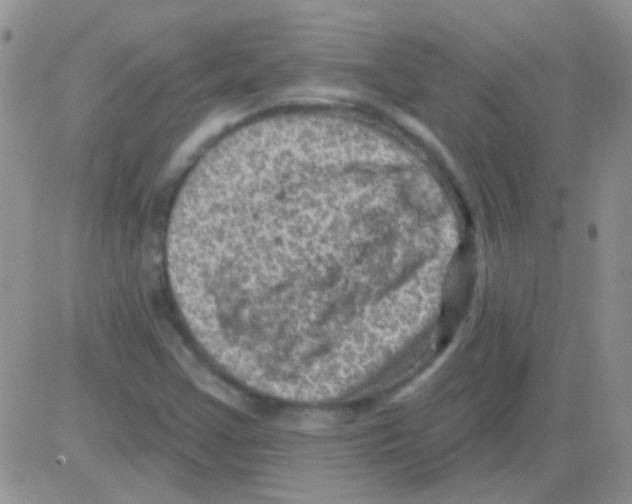 X0000082731355200702232336