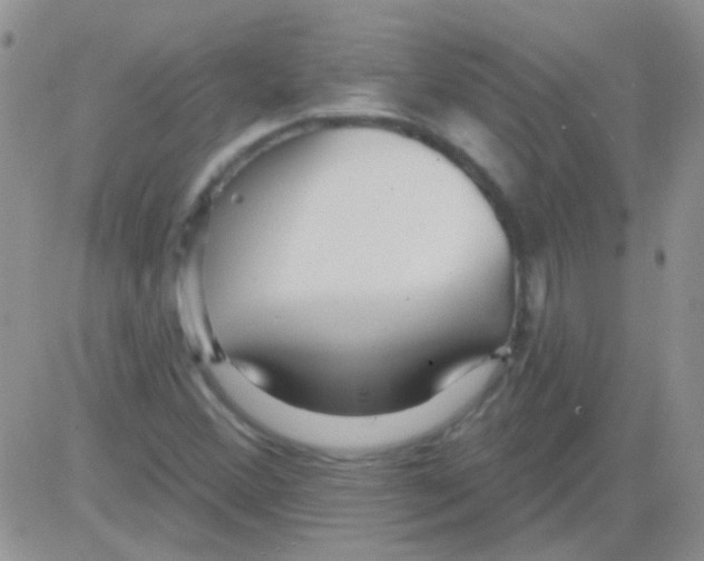 X0000082731356200702232336