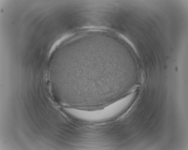 X0000082731357200702232336