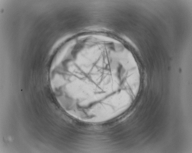 X0000082731358200702232336