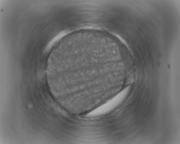 X0000082731359200702232336