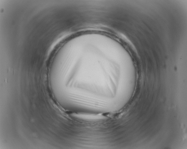 X0000082731360200702232336