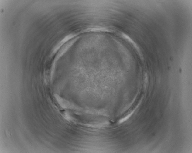 X0000082731361200702232336