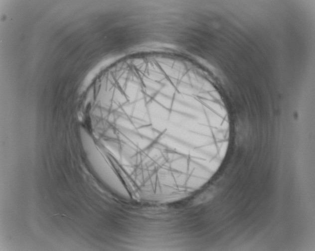 X0000082731363200702232336