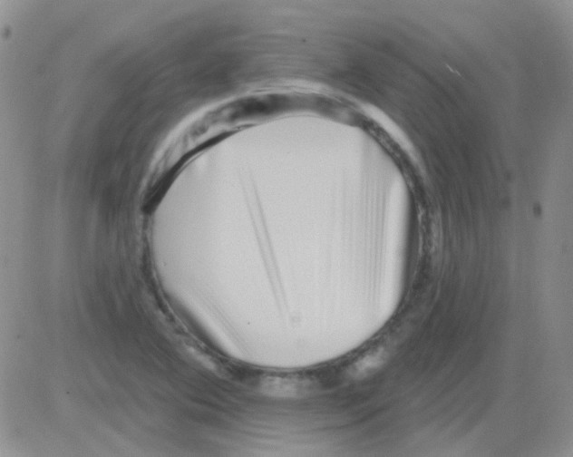 X0000082731364200702232336