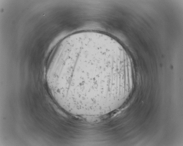 X0000082731366200702232336