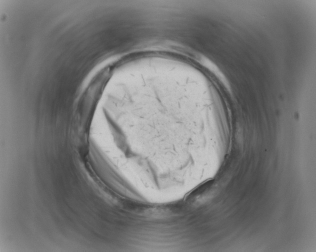 X0000082731368200702232336