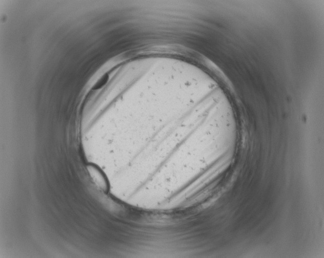 X0000082731370200702232336