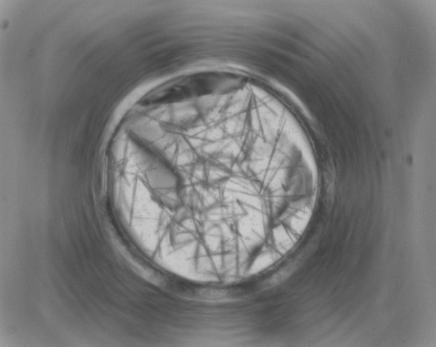 X0000082731371200702232336