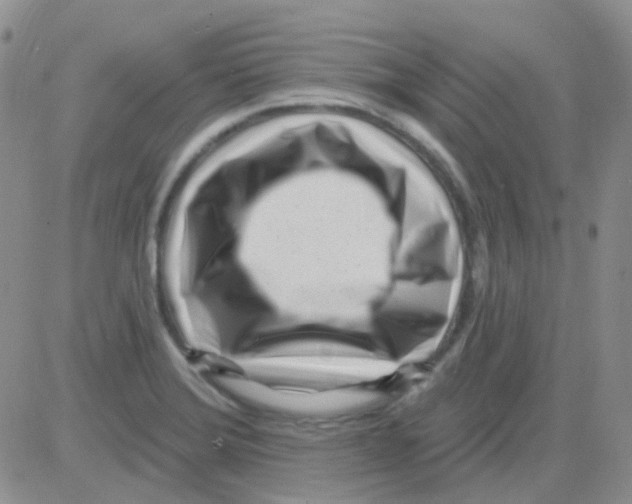 X0000082731372200702232336