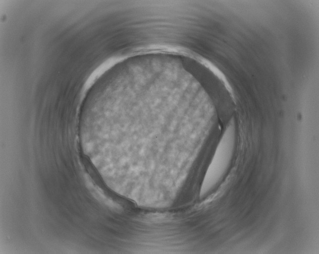 X0000082731373200702232336