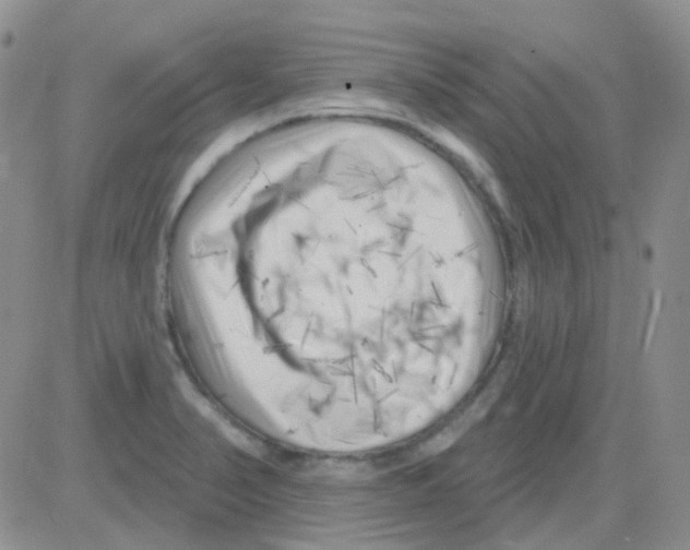 X0000082731374200702232336