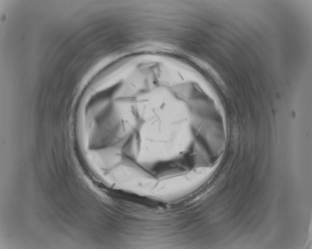 X0000082731375200702232336