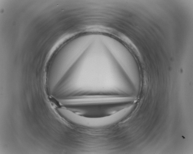 X0000082731376200702232336