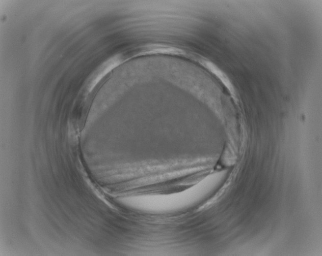 X0000082731377200702232336