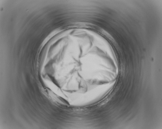 X0000082731378200702232336