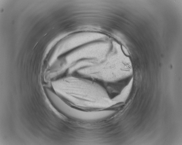 X0000082731379200702232336