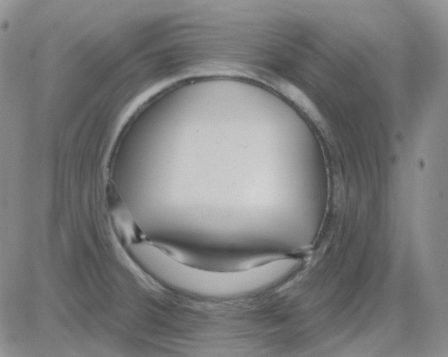 X0000082731380200702232336