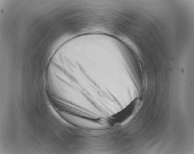 X0000082731382200702232336