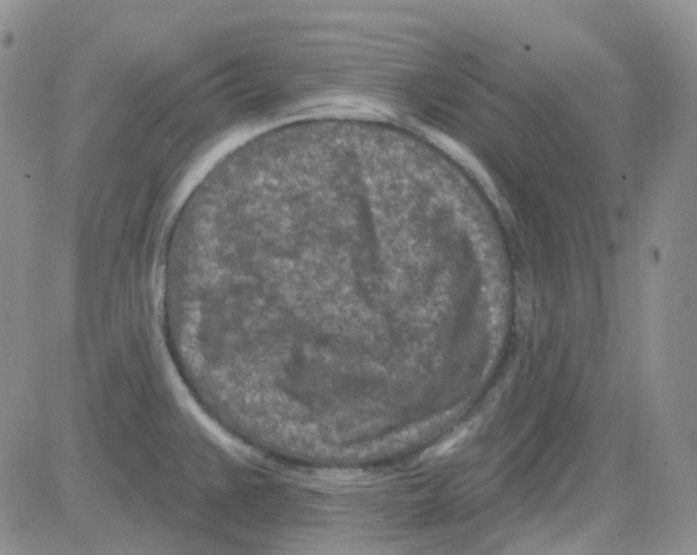 X0000082731383200702232336