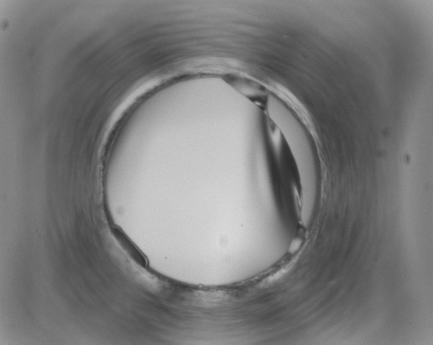 X0000082731384200702232336