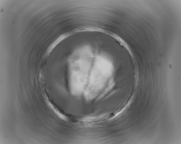 X0000082731385200702232336