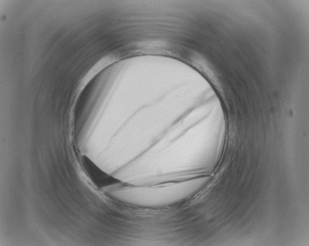 X0000082731386200702232336