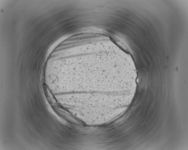 X0000082731387200702232336