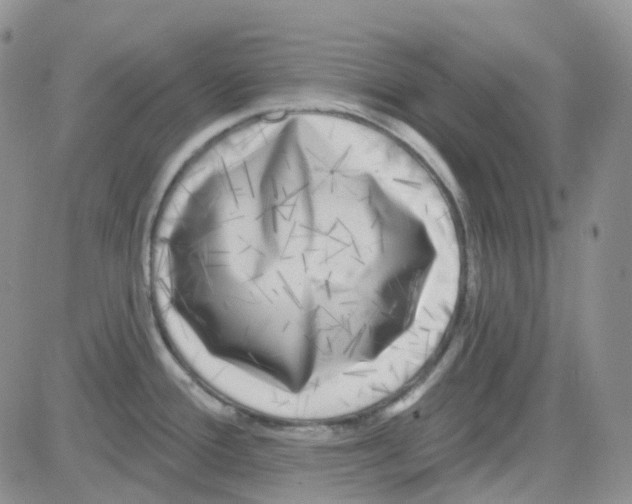 X0000082731388200702232336