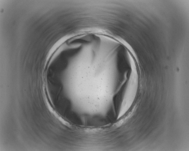 X0000082731389200702232336