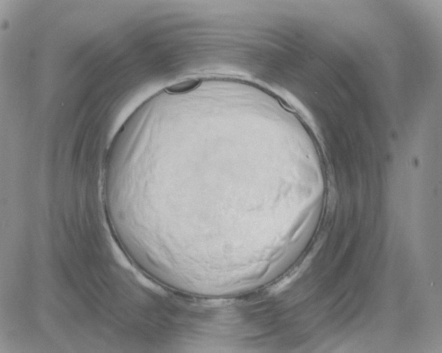 X0000082731390200702232336