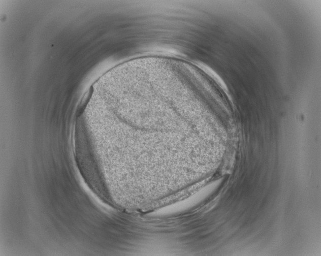 X0000082731391200702232336