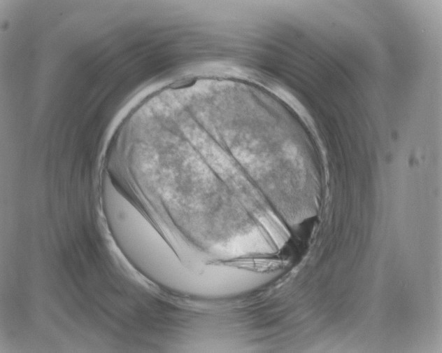 X0000082731392200702232336