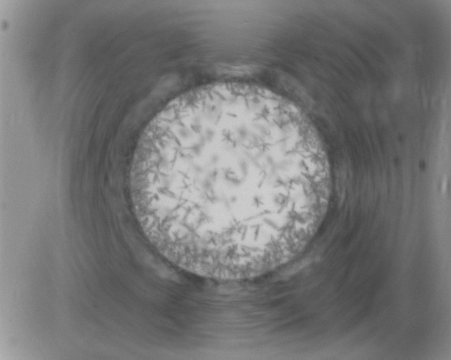 X0000082731393200702232335