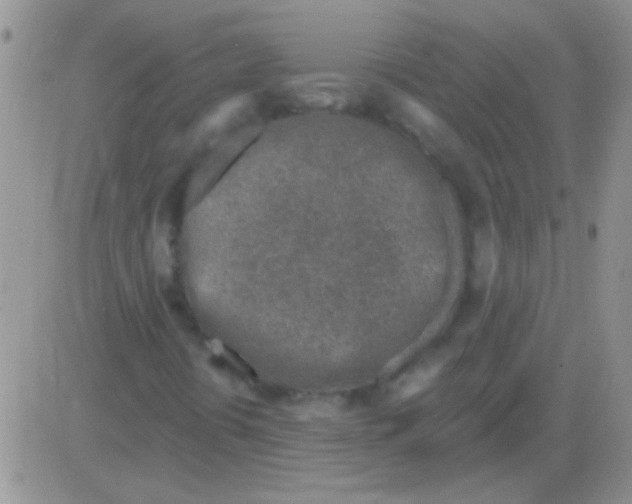 X0000082731394200702232335