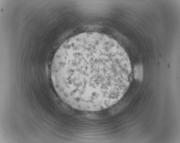 X0000082731395200702232335