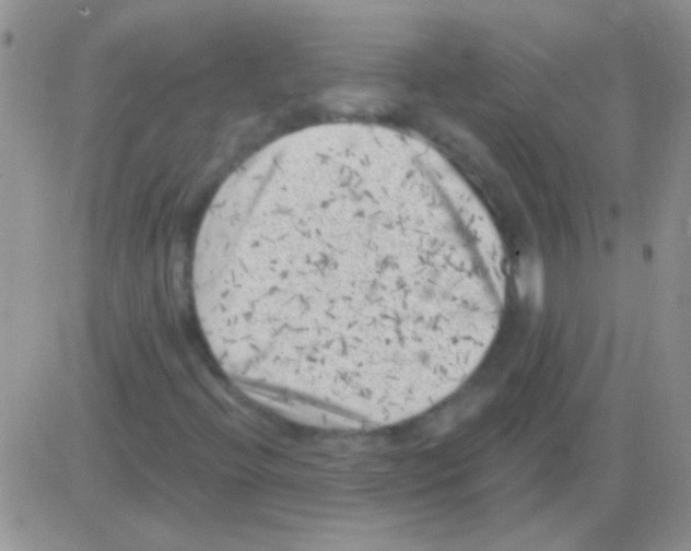 X0000082731396200702232335